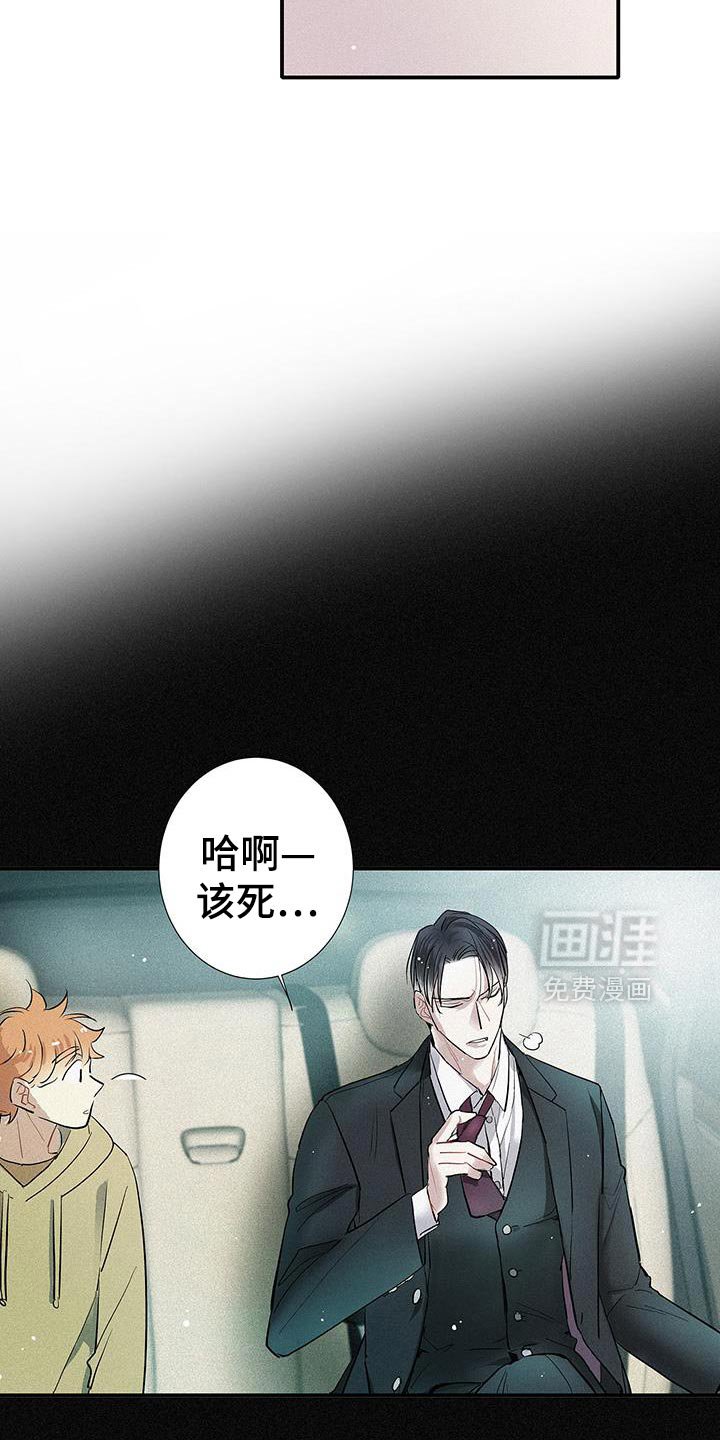 第49章：喜欢的东西
