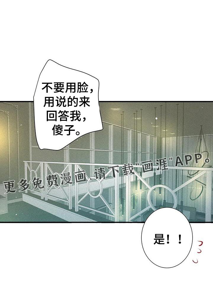 第50章：琐碎的对话