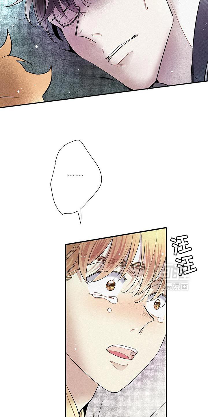 第51章：遗忘那份温暖
