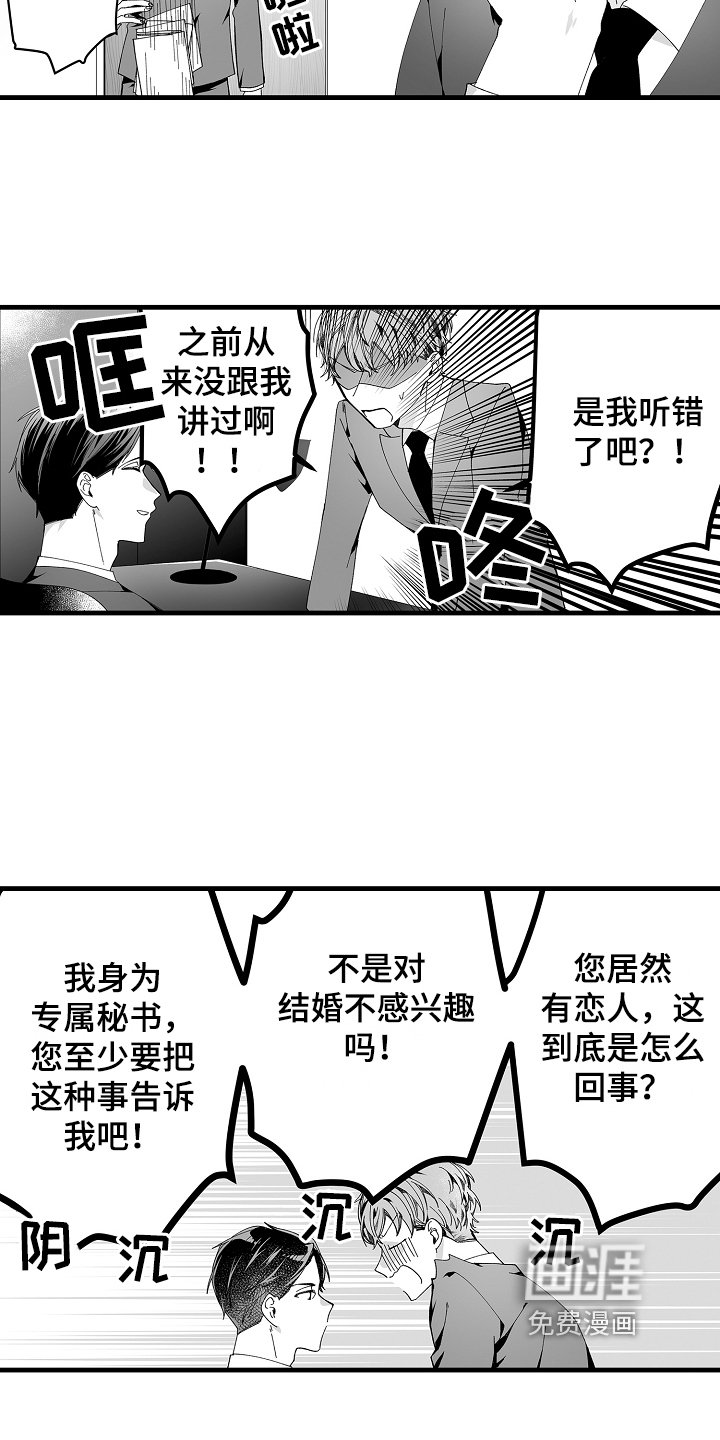 第5章：真心喜欢你