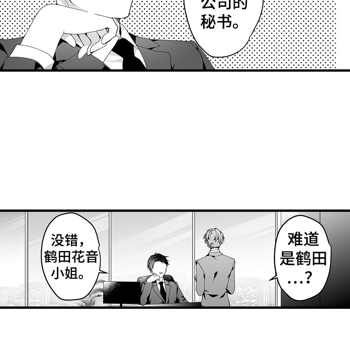 第5章：真心喜欢你
