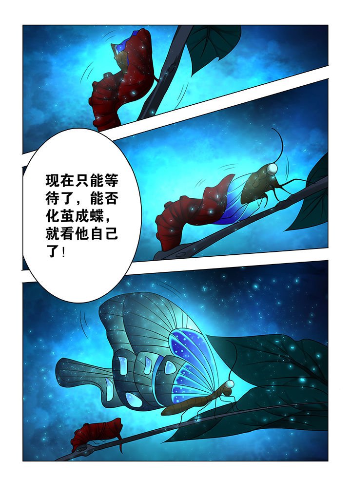 第16章：