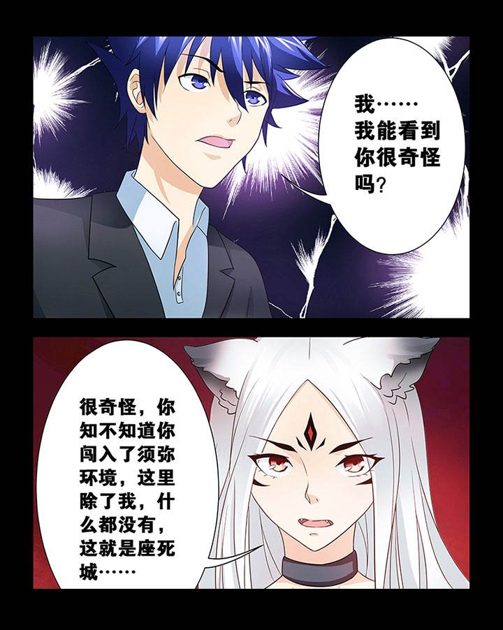 第5章：