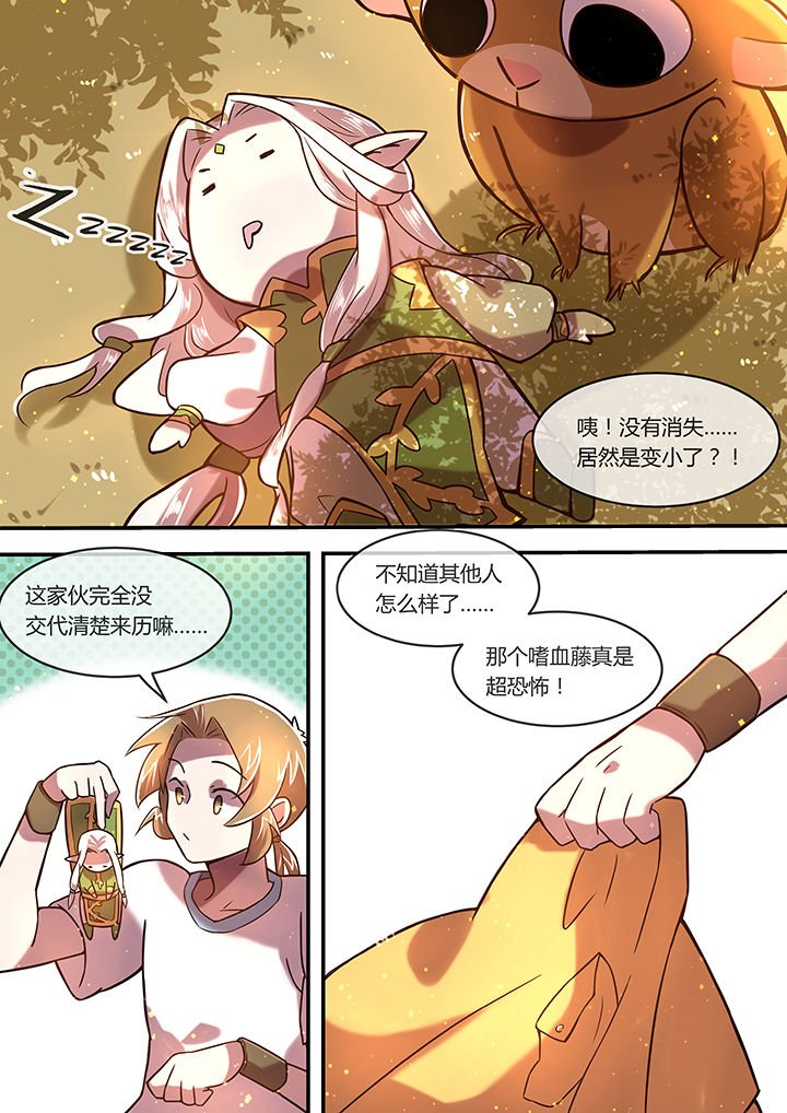 第20章：光影之契