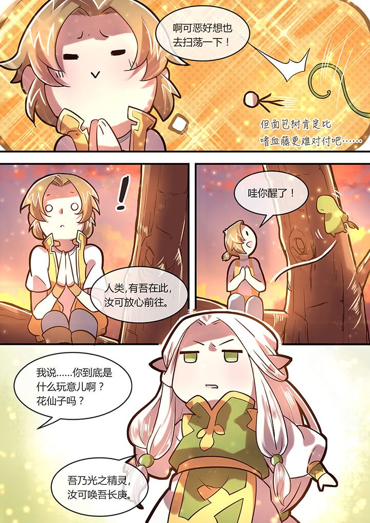 第20章：光影之契