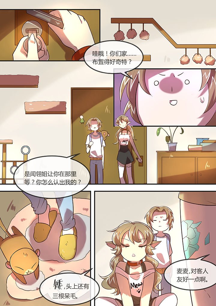 第24章：猫咪和鱼