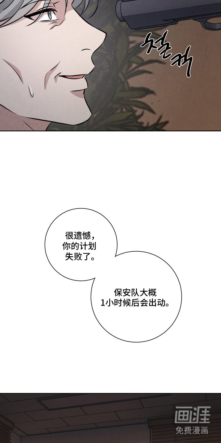 第11章：杀了我