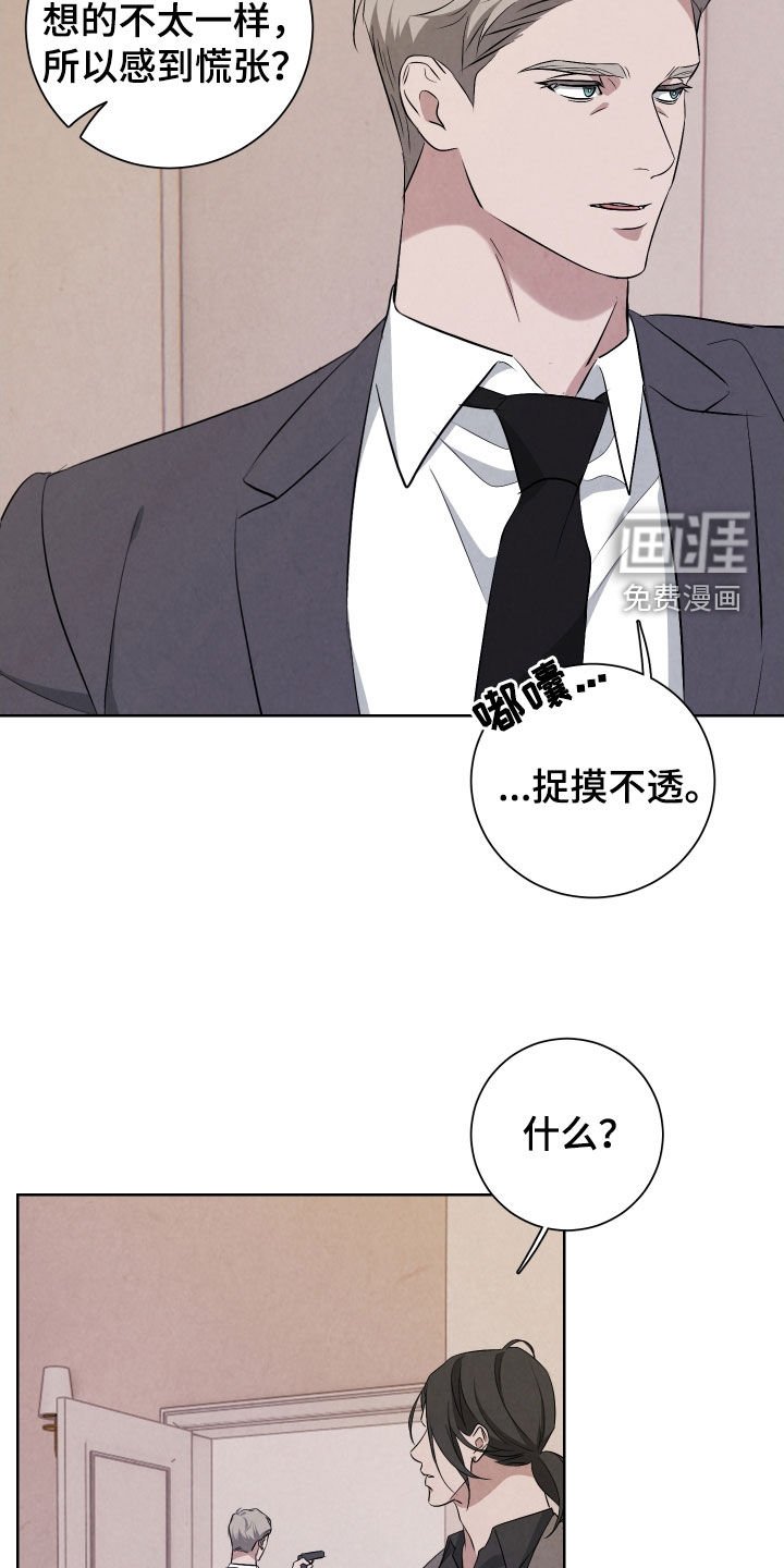 第17章：很奇妙的体验