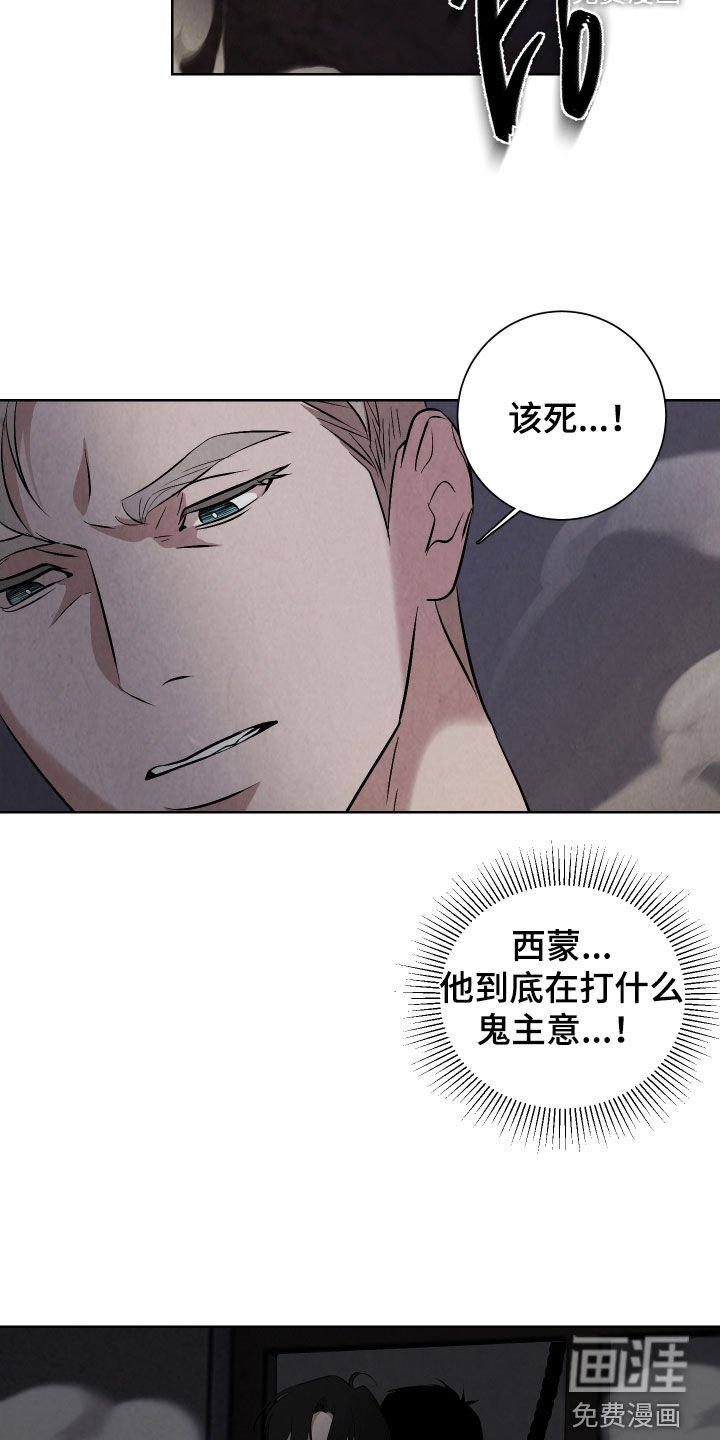 第20章：因为可怜你