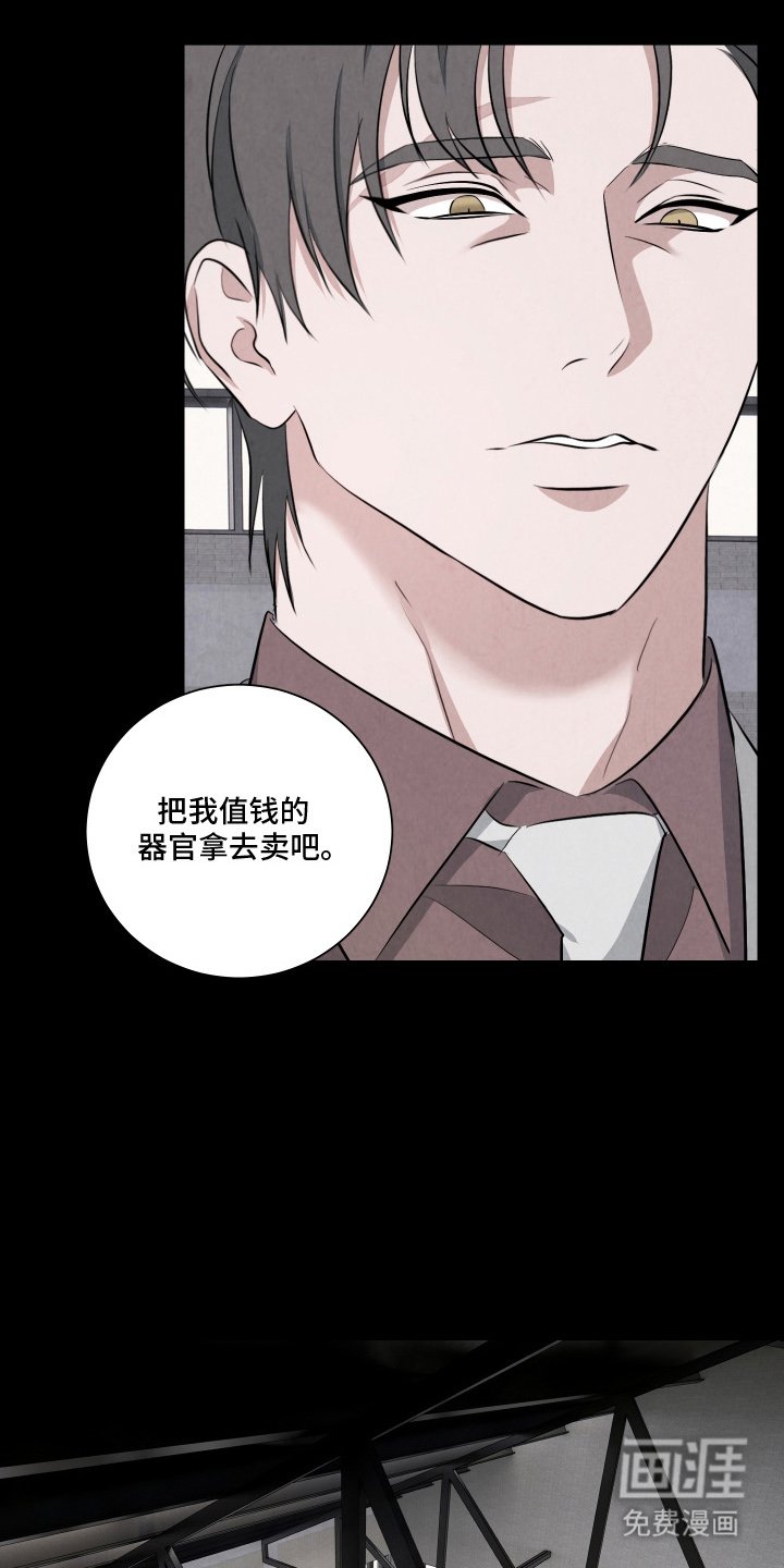 第6章：诱饵