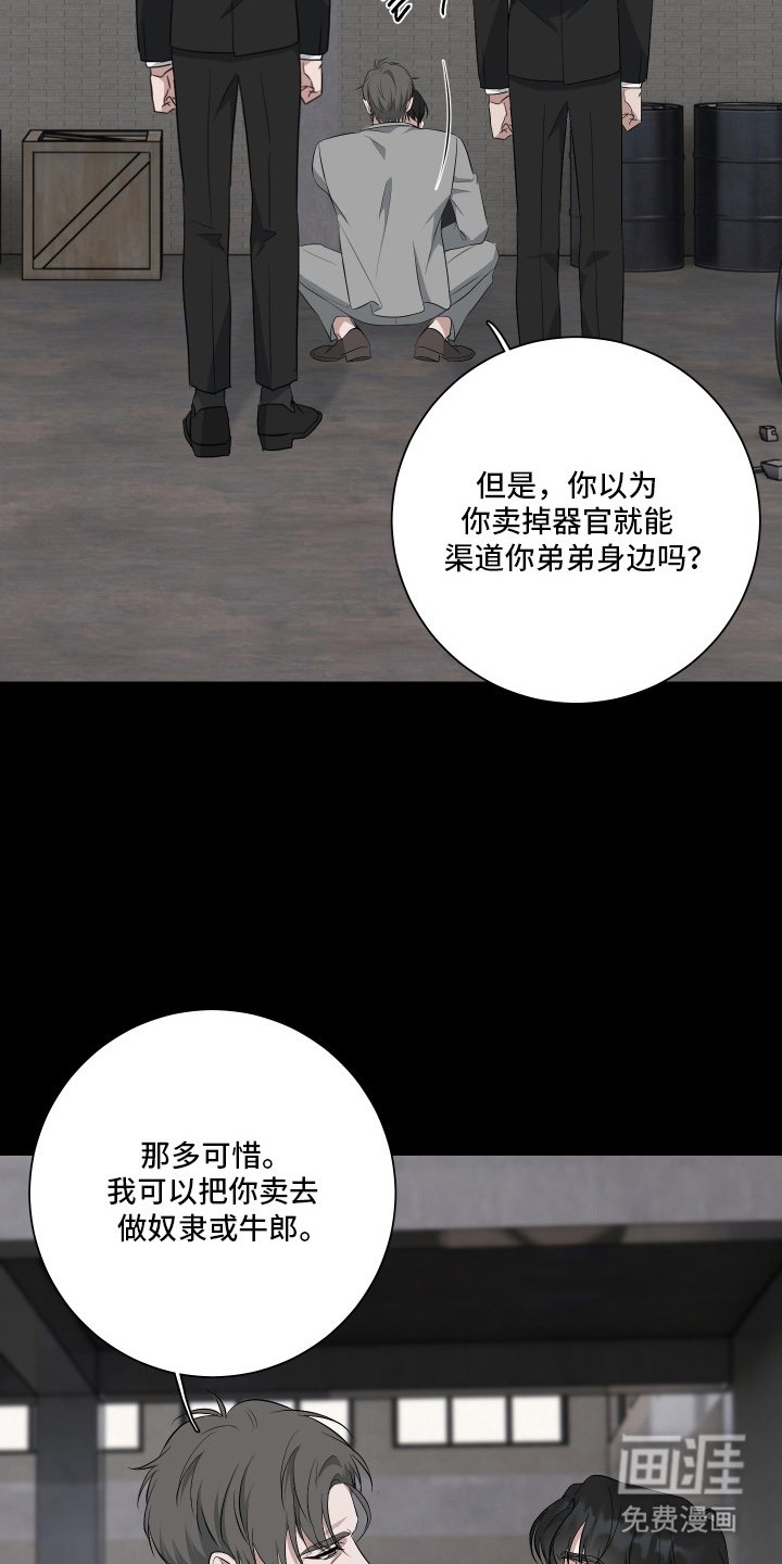 第6章：诱饵