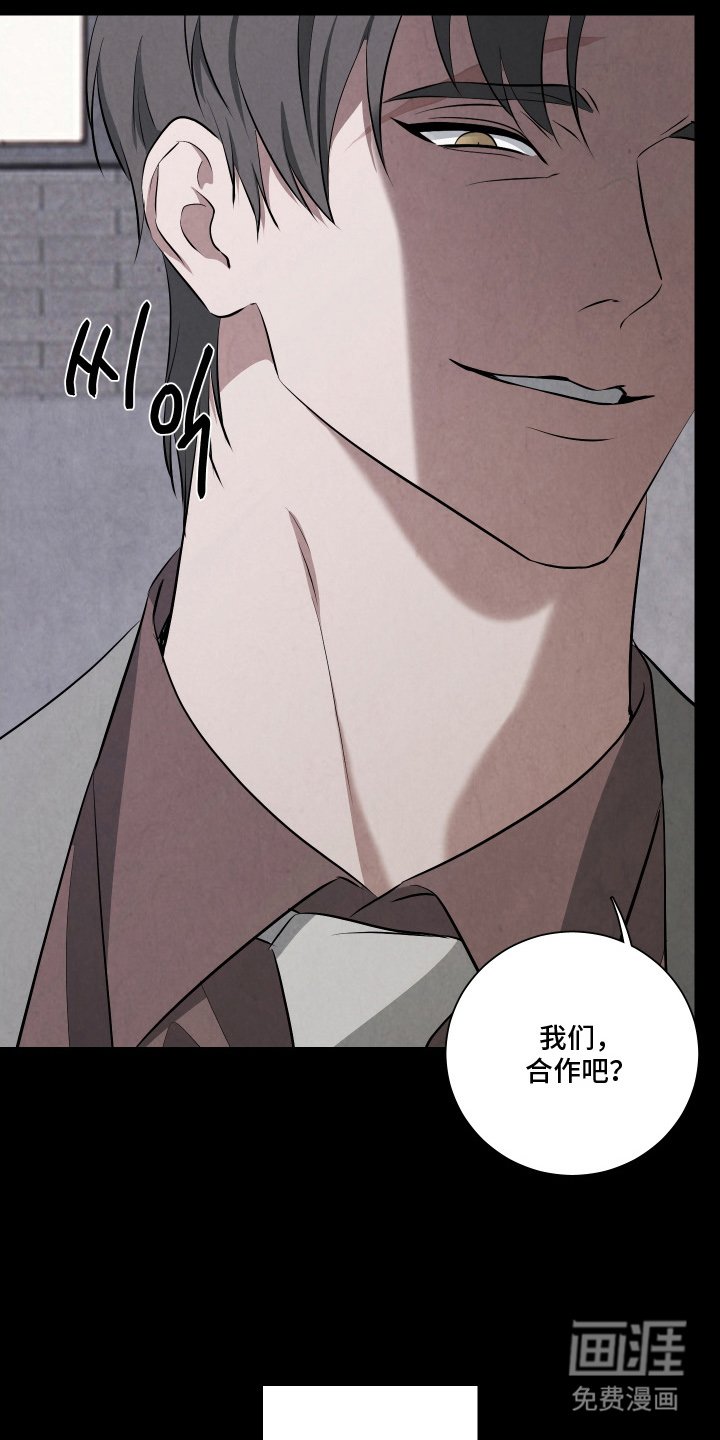 第6章：诱饵