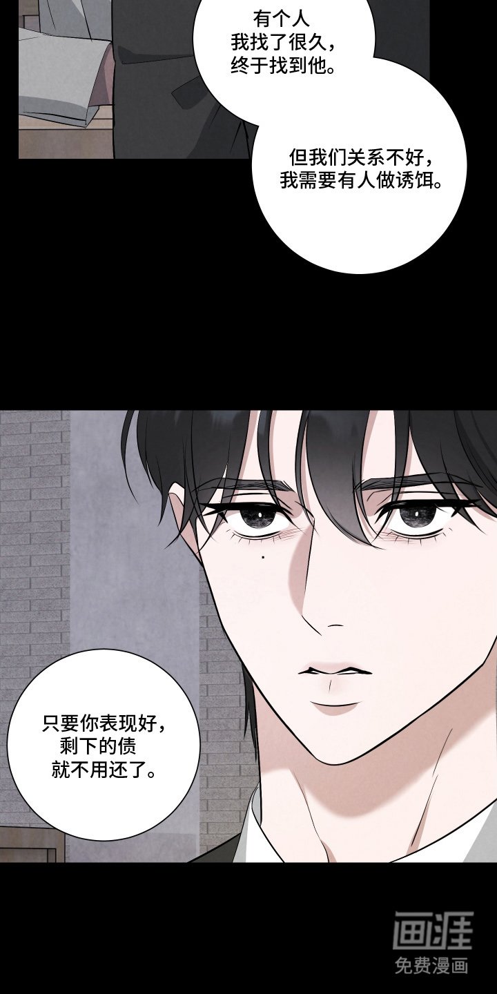 第6章：诱饵