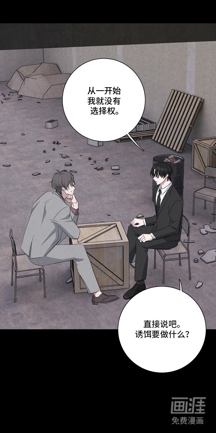 第6章：诱饵