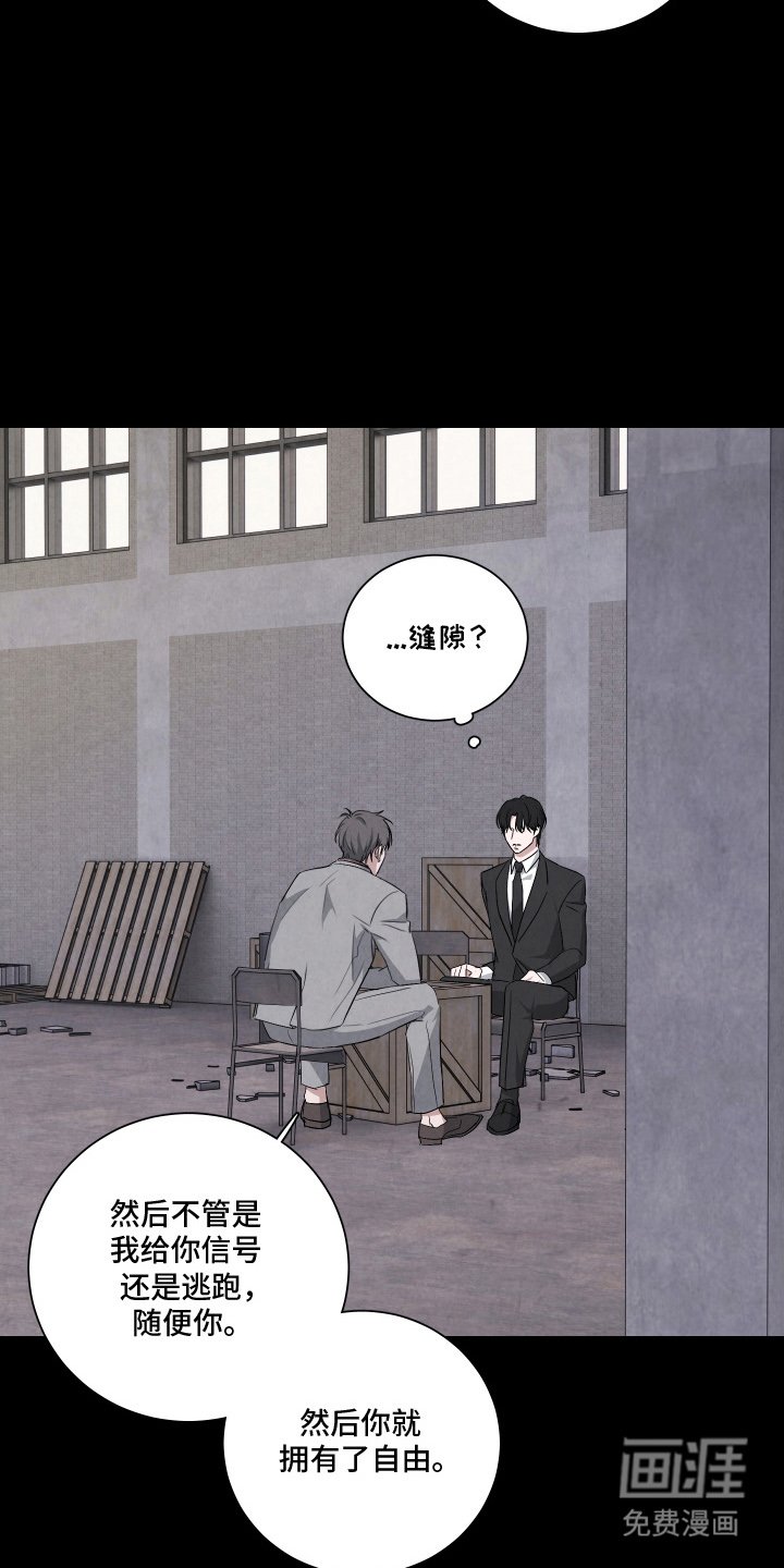 第6章：诱饵