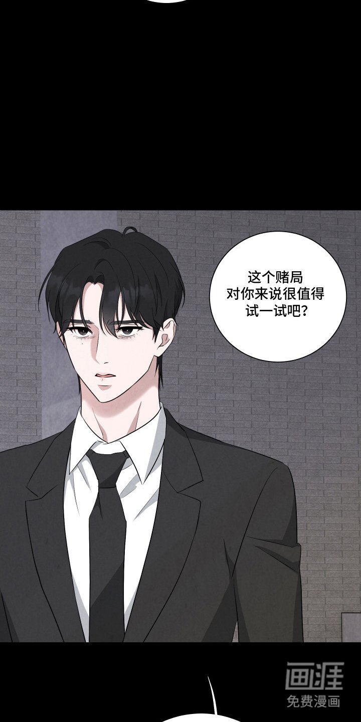 第6章：诱饵