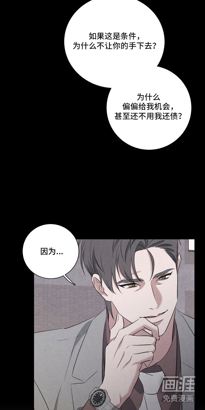 第6章：诱饵