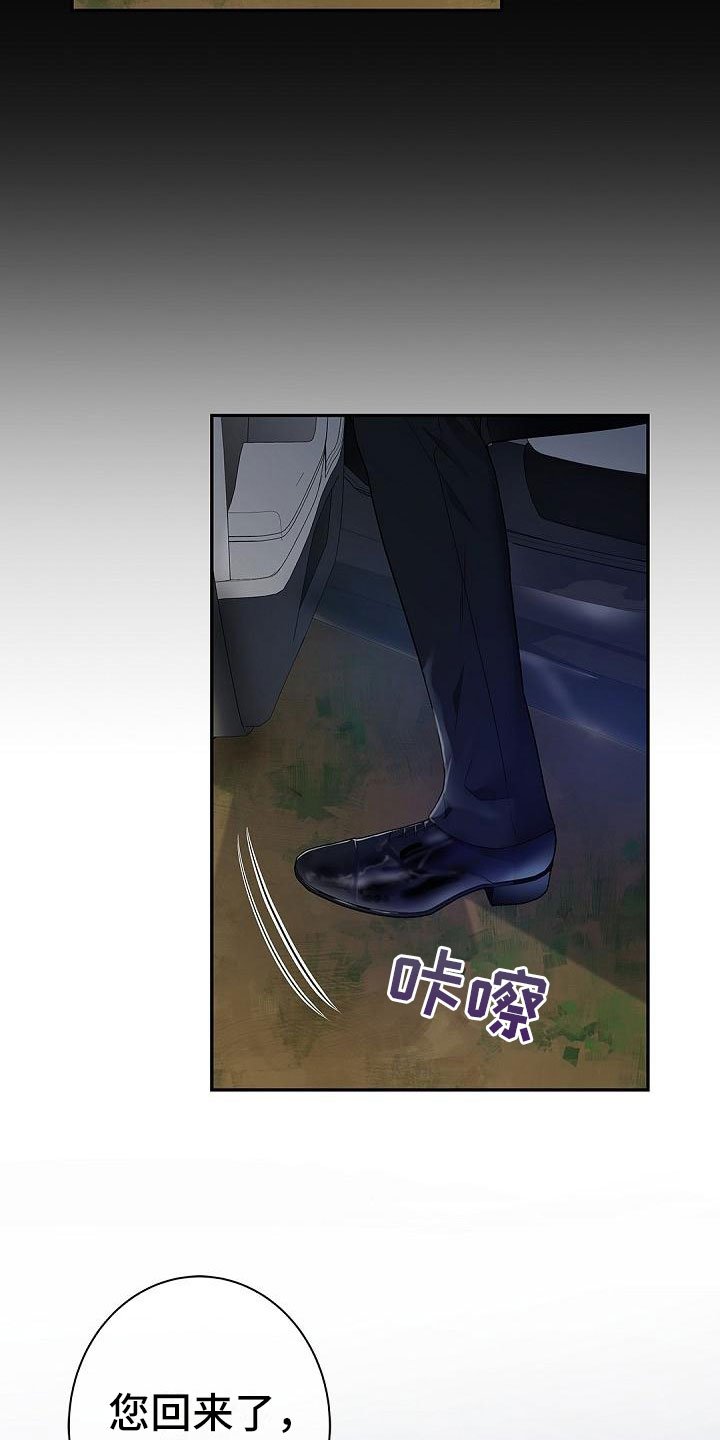 第1章：奇妙的世界