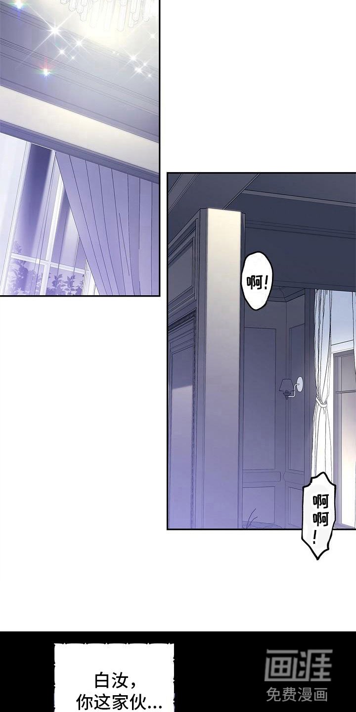 第12章：隐情