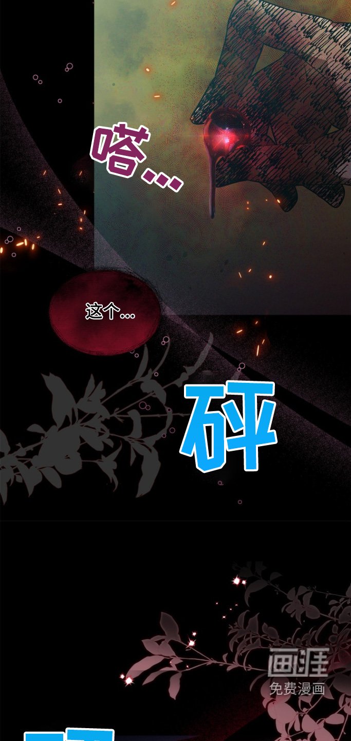 第127章：【第三季】守护的珠子