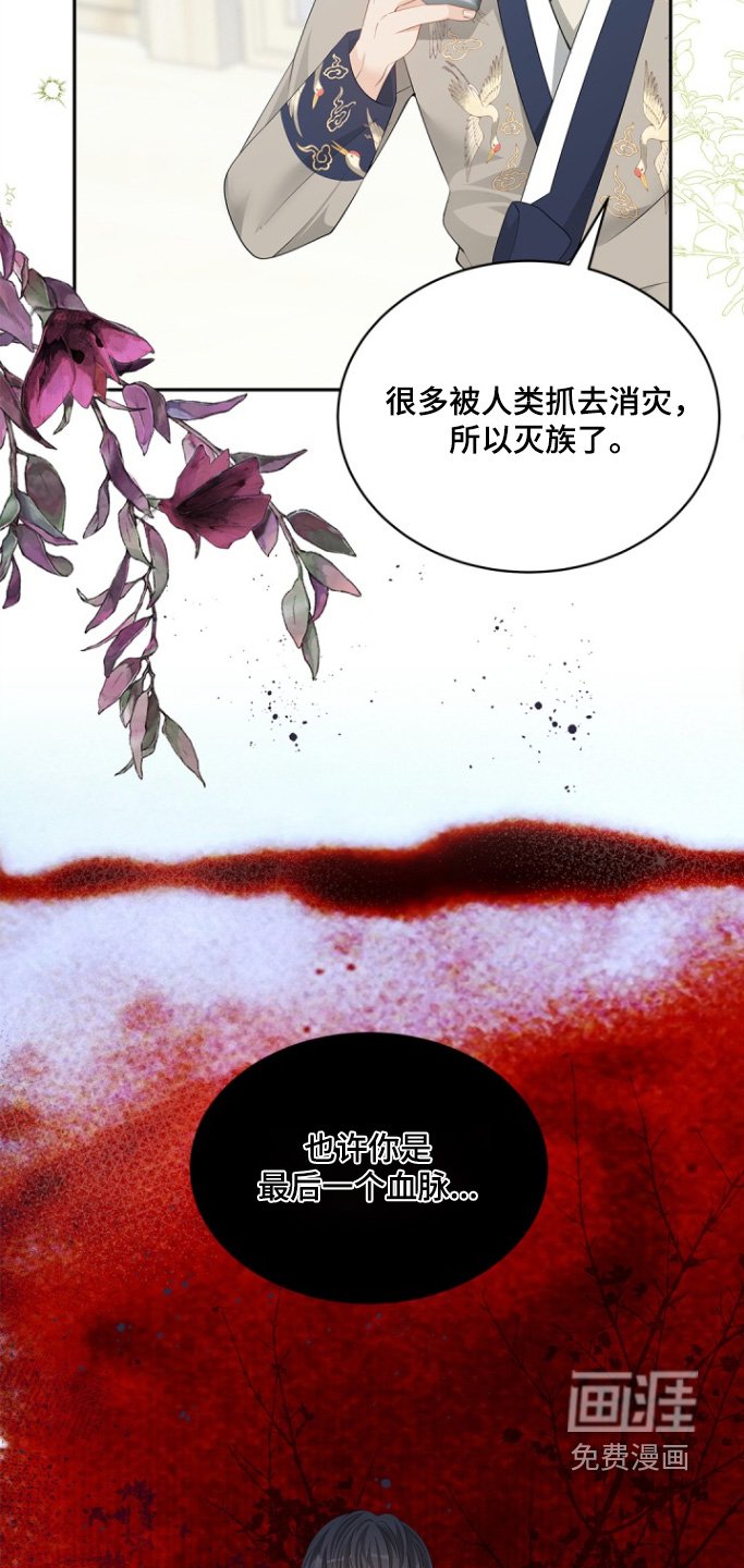 第128章：【第三季】九尾狐