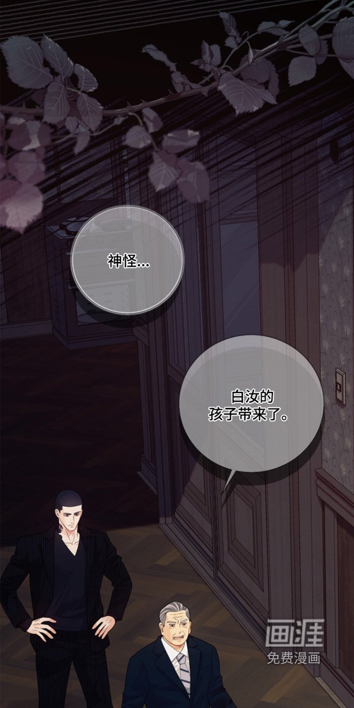 第143章：【第三季】失踪了