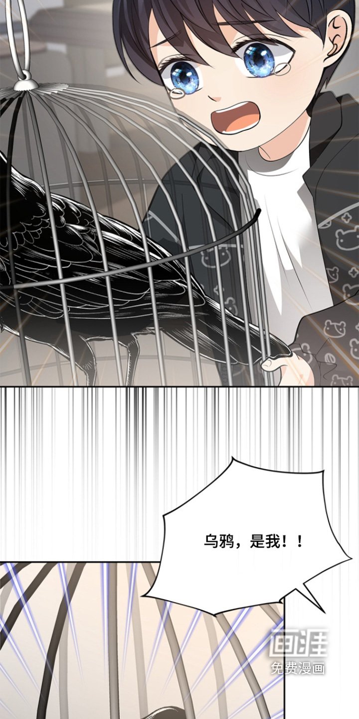 第144章：【第三季】他是谁