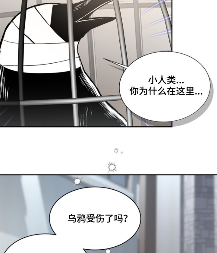 第144章：【第三季】他是谁