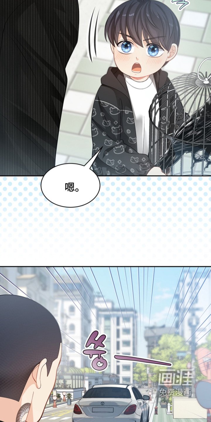 第147章：【第三季】去哪里了
