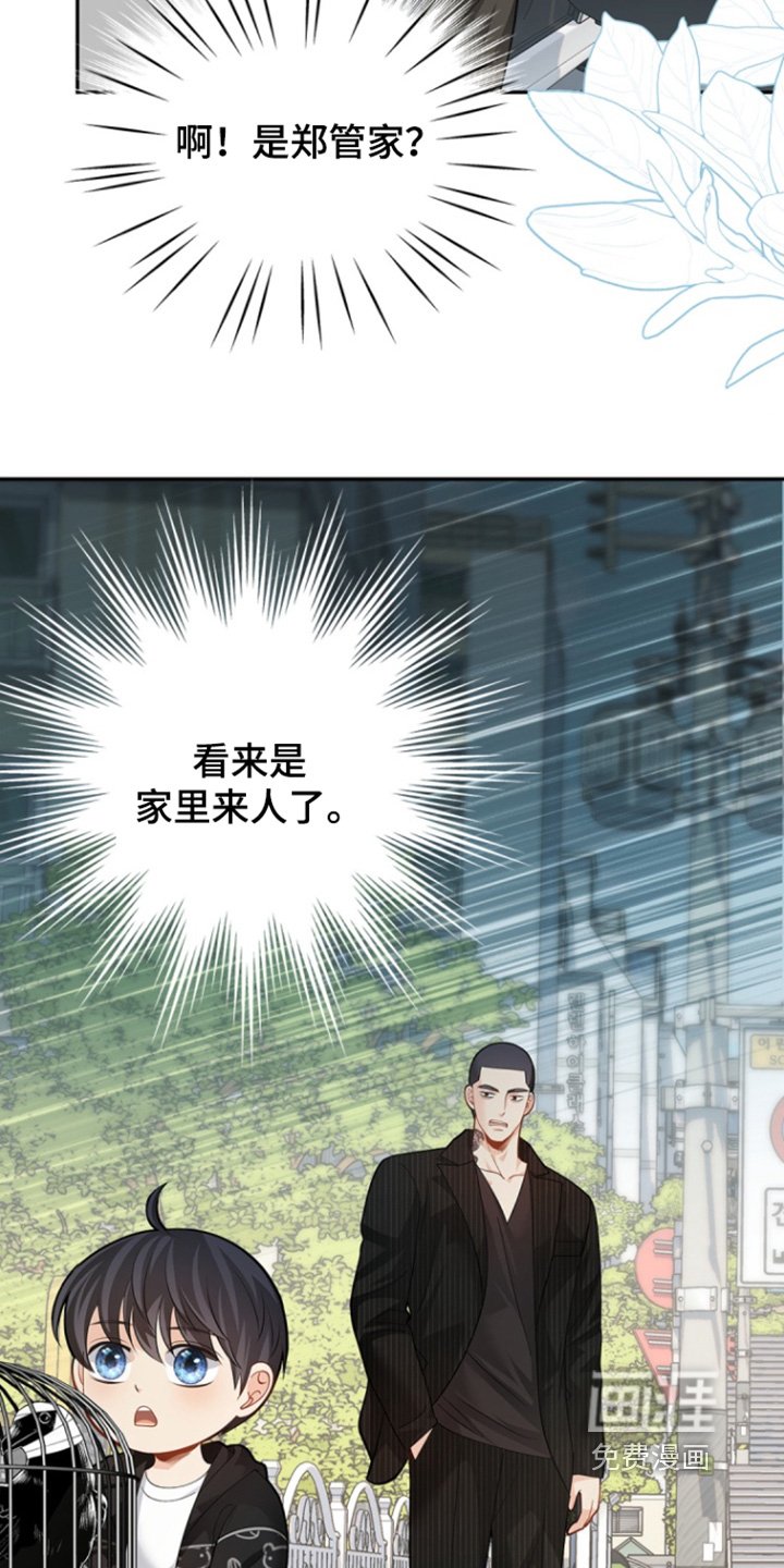 第147章：【第三季】去哪里了