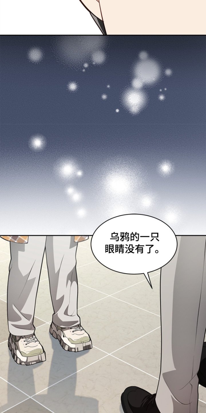 第158章：【第三季】我的乌鸦