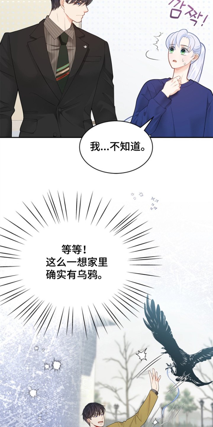 第158章：【第三季】我的乌鸦