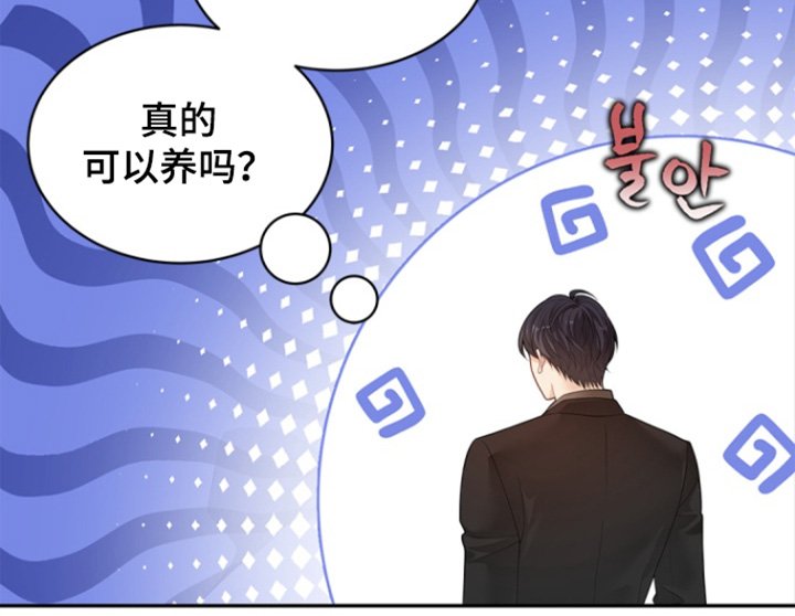 第158章：【第三季】我的乌鸦