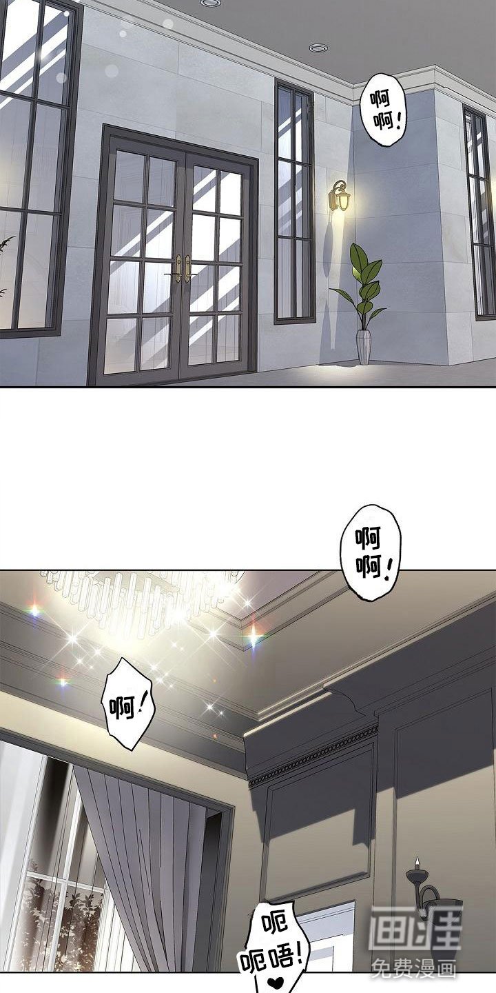 第16章：单纯