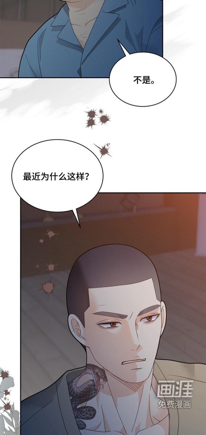 第166章：【第三季】你回来了