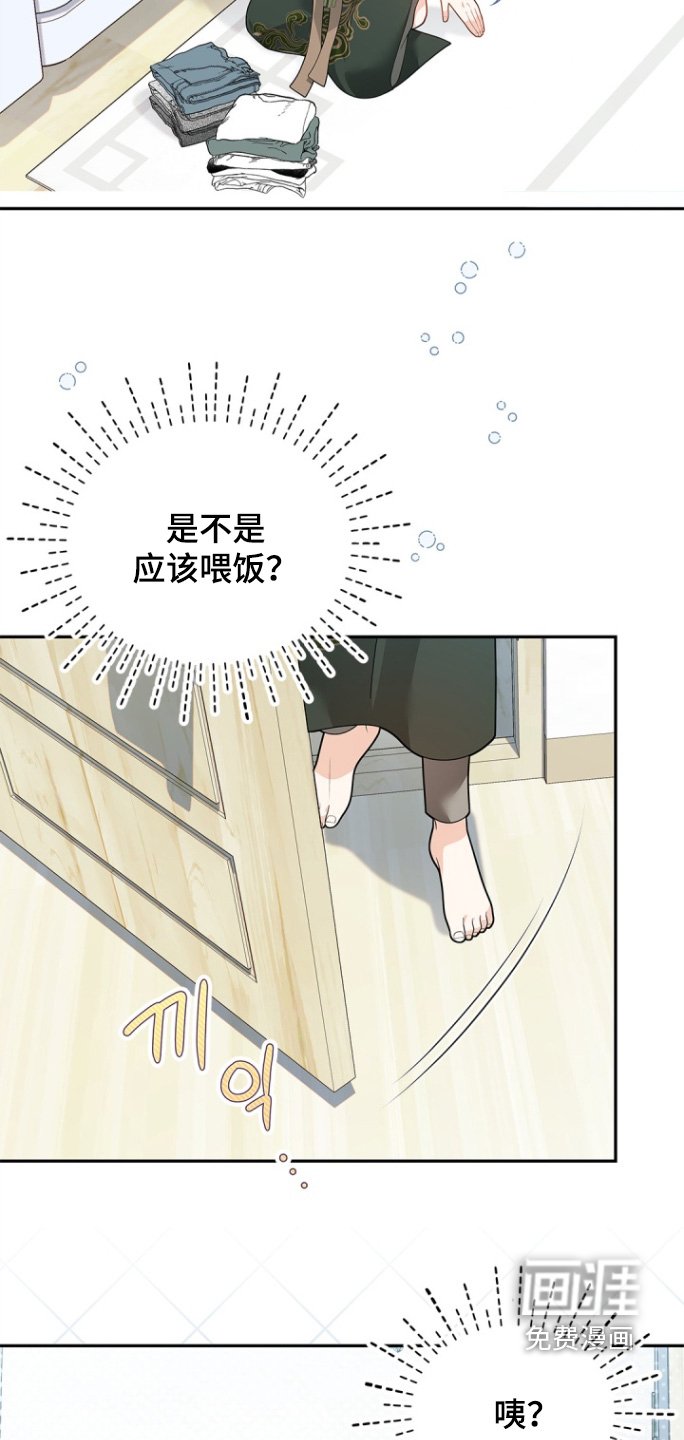 第169章：【第三季】去哪里了