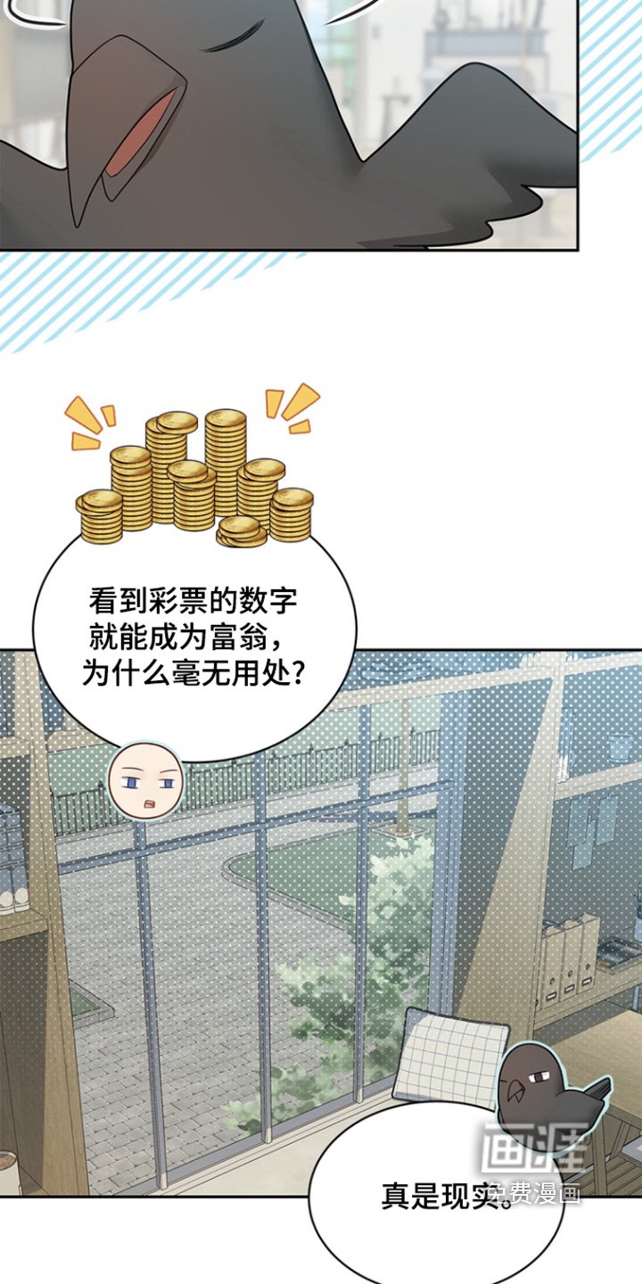 第183章：【第三季】目的