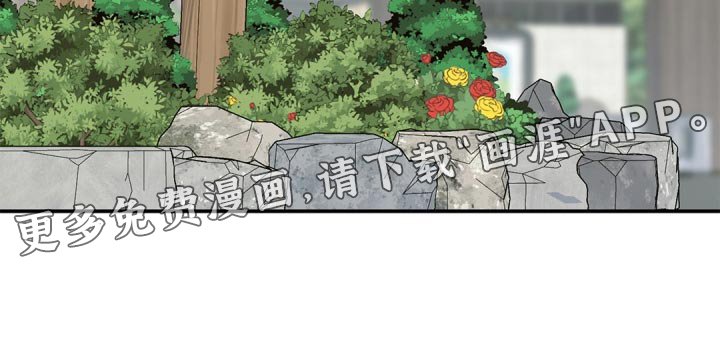 第26章：第一次郊游