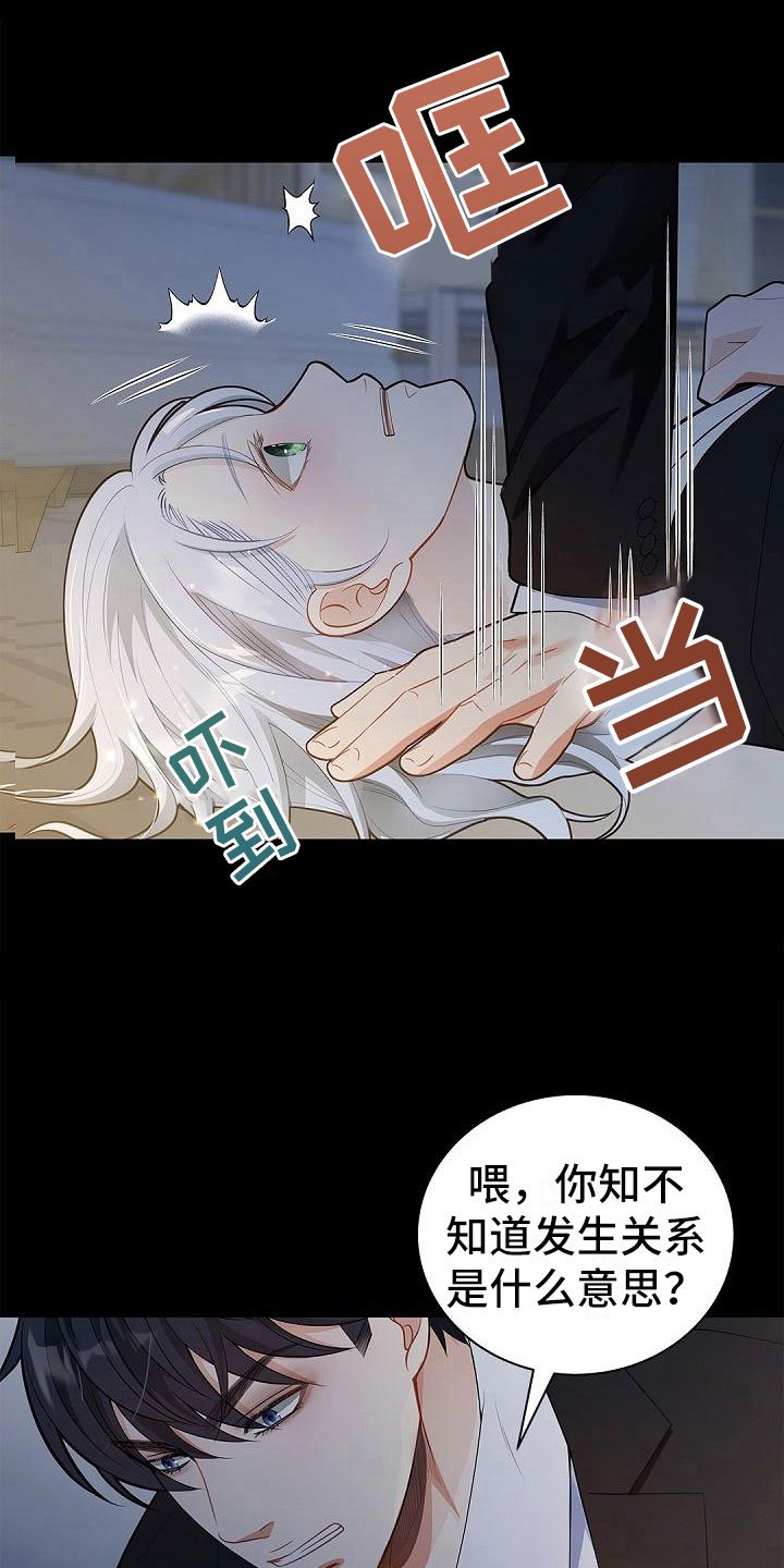 第3章：伴侣