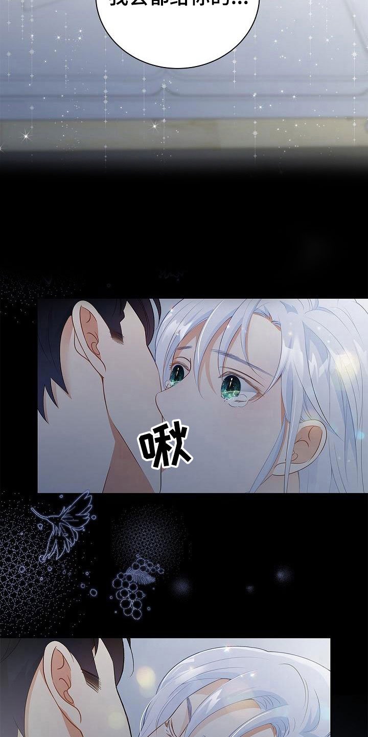 第3章：伴侣