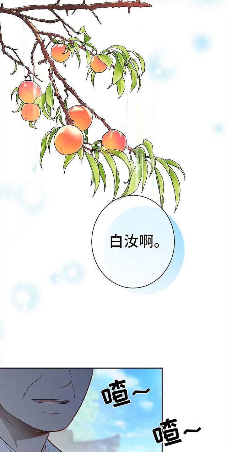 第3章：伴侣