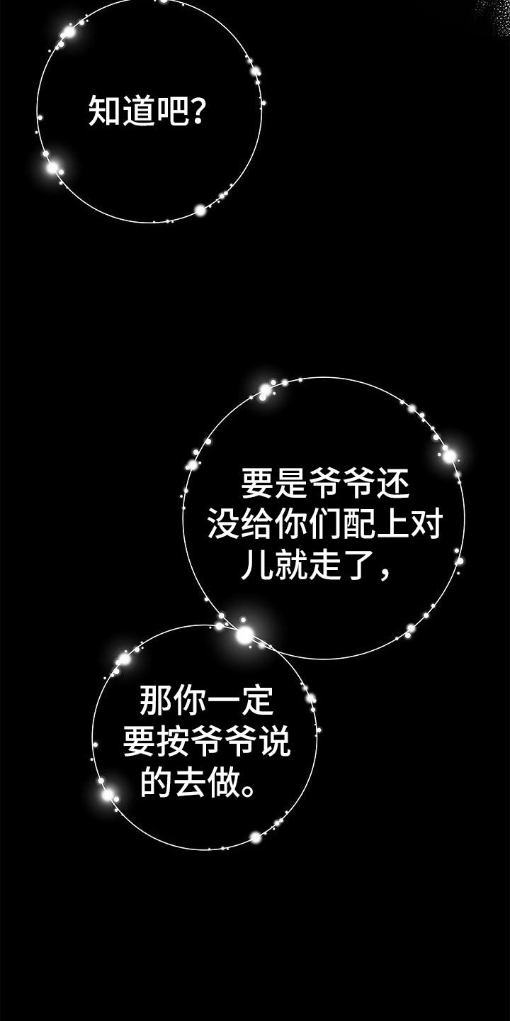 第3章：伴侣