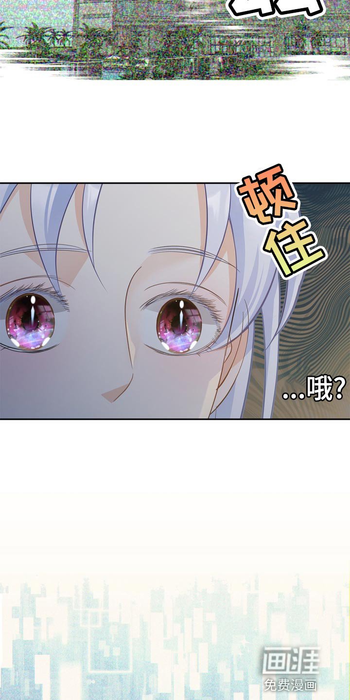 第35章：预知