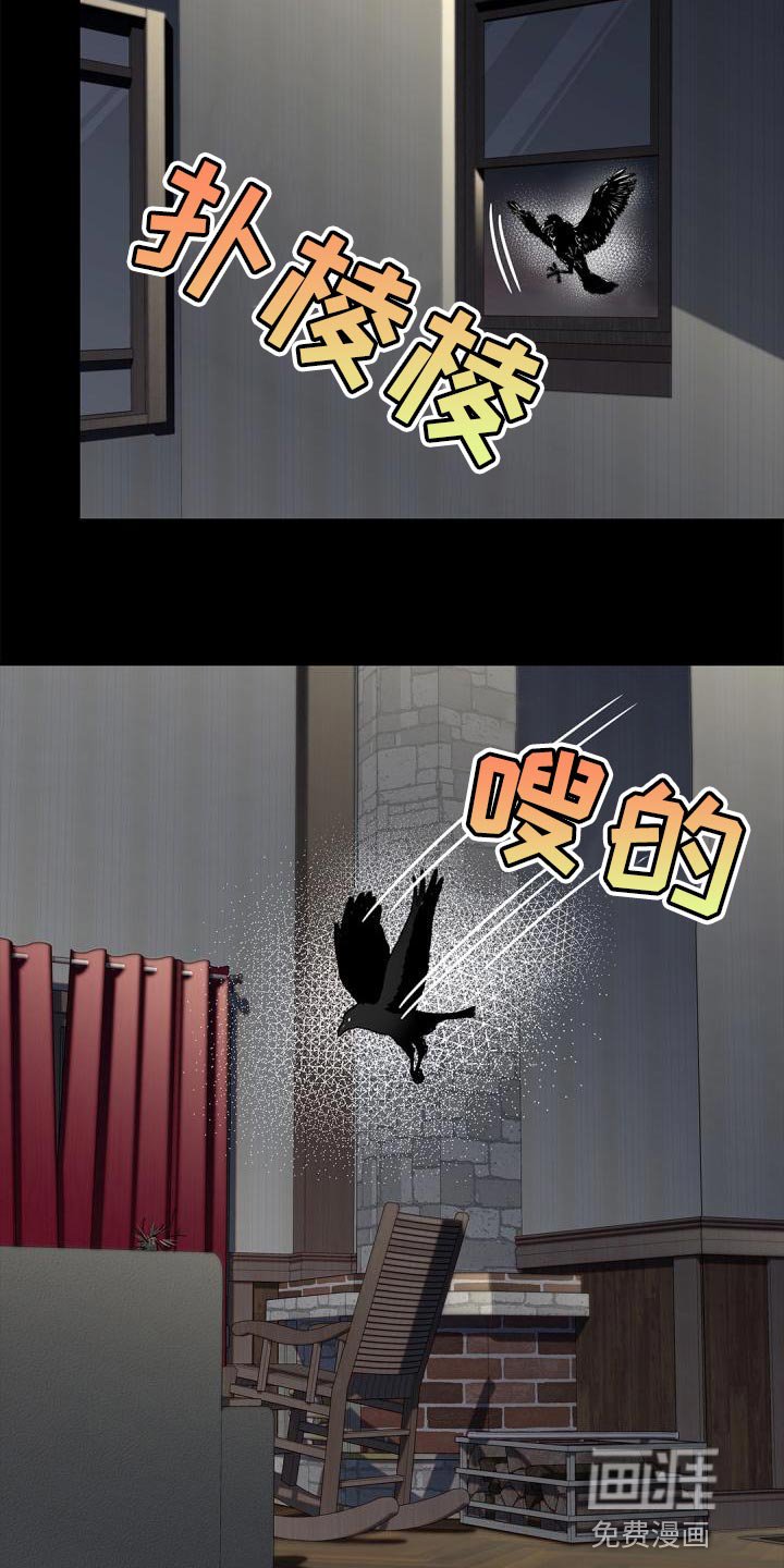 第42章：看到了什么