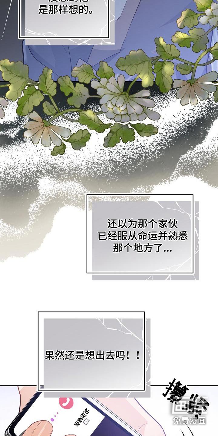 第53章：不用管