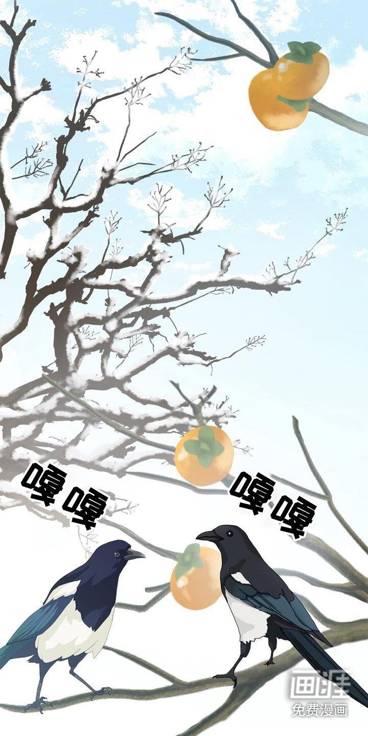 第64章：【第二季】说话的鸟 