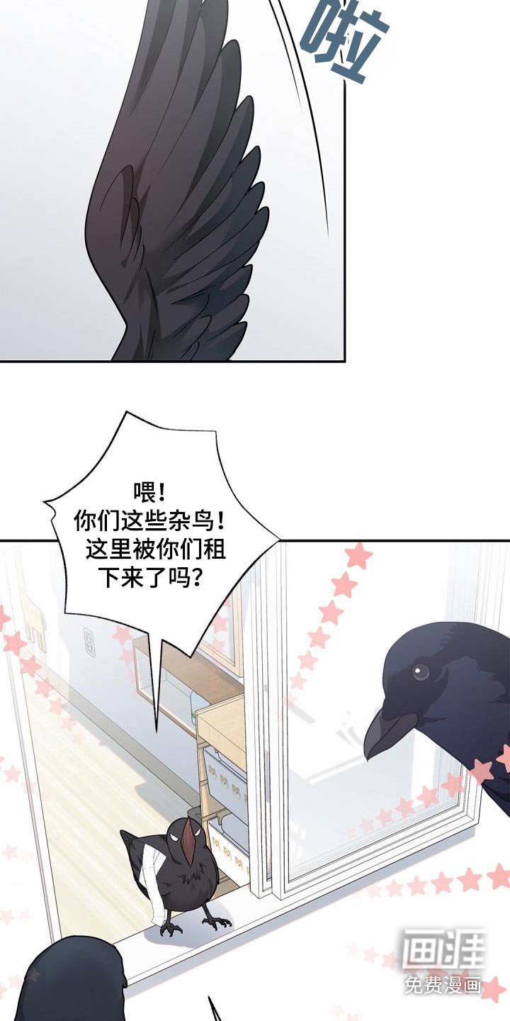 第64章：【第二季】说话的鸟 