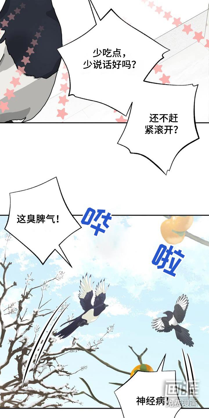 第64章：【第二季】说话的鸟 