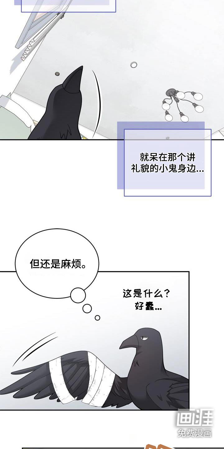 第64章：【第二季】说话的鸟 