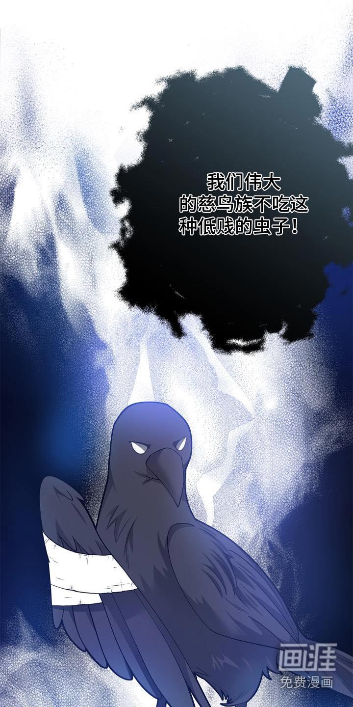 第64章：【第二季】说话的鸟 
